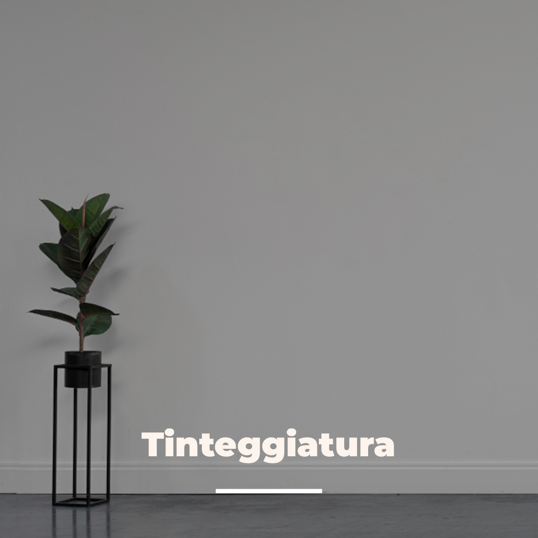 Homepage 18 Tinteggiatura